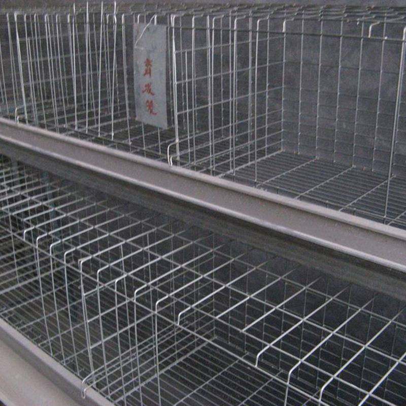 笼蛋鸡笼阶梯用式6层鸡笼养殖场专用铁鸡笼子4位丝笼家鸡养鸡设备