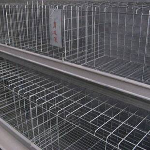 笼蛋鸡笼阶梯用式6层鸡笼养殖场专用铁鸡笼子4位丝笼家鸡养鸡设备