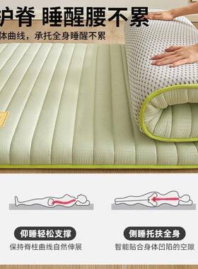 床垫软垫地铺叠睡家用可折防潮铺地RIK垫打地单双人垫租房