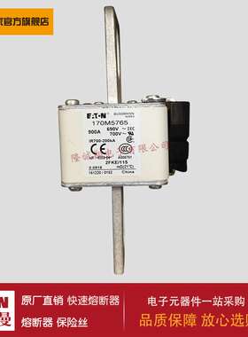 熔断器170M5761 170M5762 170M5763 170M5764 170M5765 170M5766
