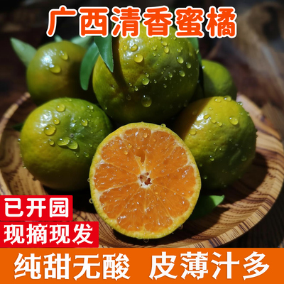 【现摘】广西清香蜜橘新鲜蜜桔正宗茶橘巴西柑当季水果纯甜桔子