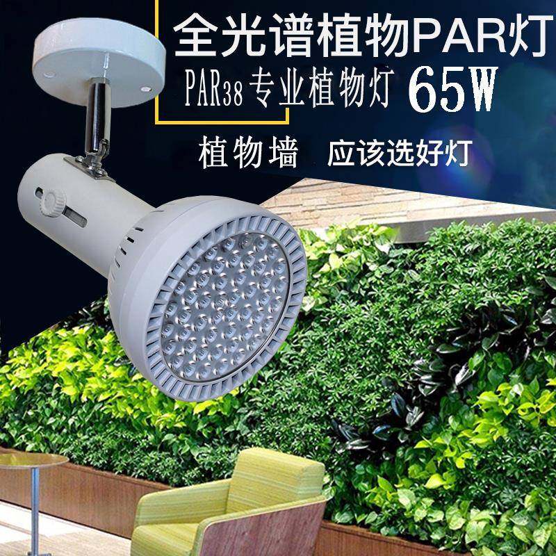 65W植物墙补光射灯室内假山鱼缸造景全光谱led生长轨道雨林缸灯,电子元器件市场,其它元器件,淘宝优惠券,粉丝福利购,淘宝优惠卷
