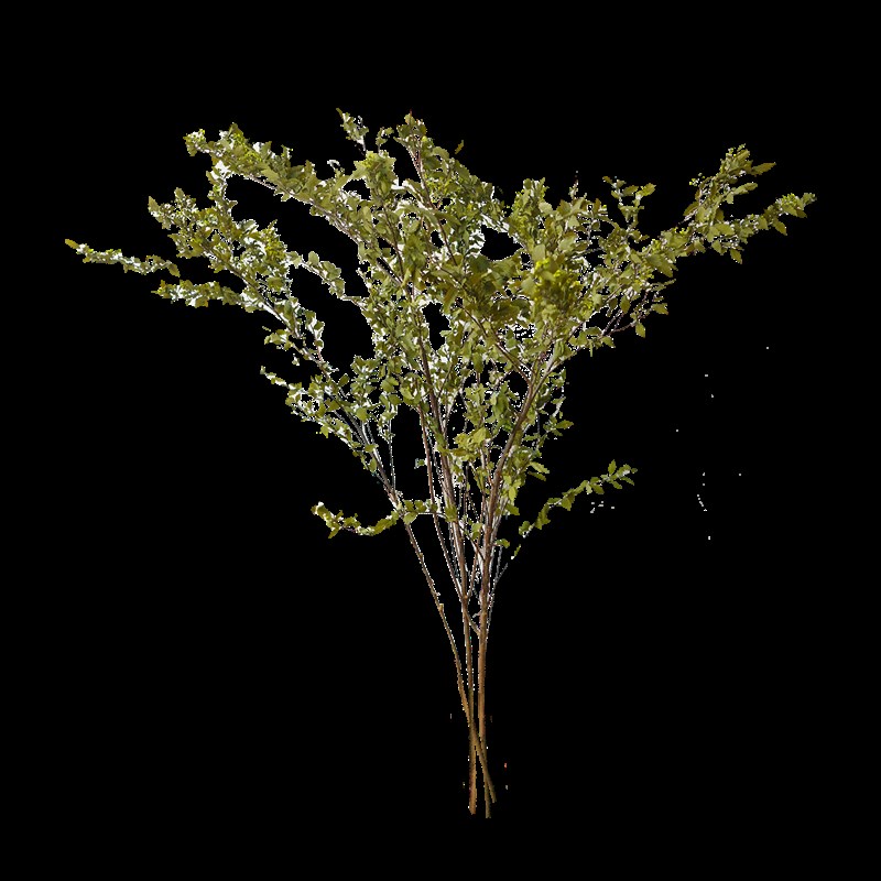 永生小手球花天然植物配草干花客厅桌面配花百搭真花装饰拍摄道具