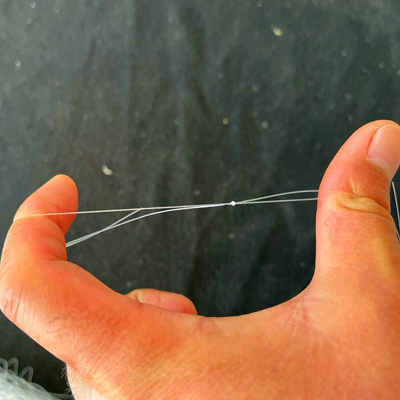 粘网丝网加粗特粗丝草鱼青鱼鲢鳙大鱼甲鱼网10单层沉网捕鱼网