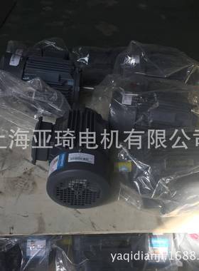 1TL0001-1AA42-1JA5-Z-3KW-B35BEIDE 贝得电动机