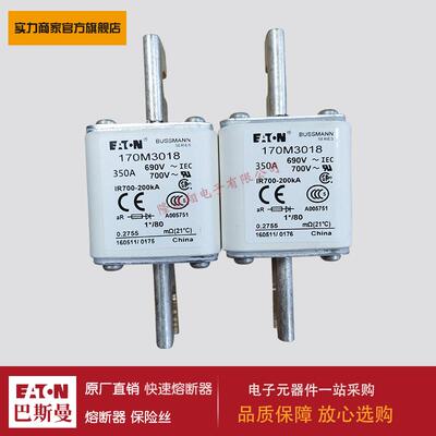 熔断器170M3018 170M3019 170M3020 170M3021 170M3022 170M3023