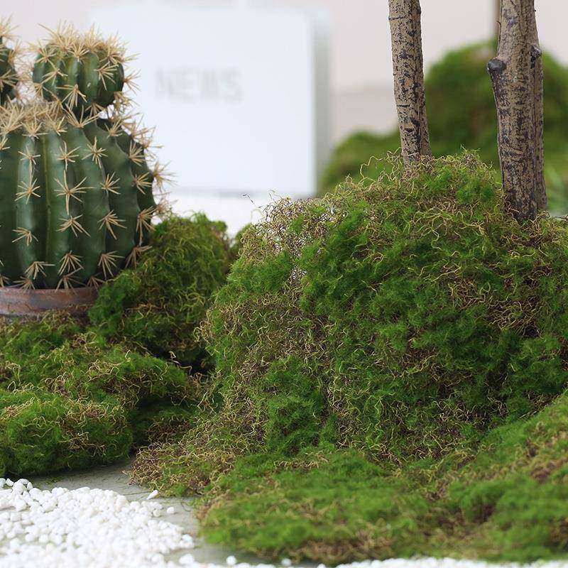 仿真植物造景苔藓绿植青苔铺面景观装饰盆景配材植物搭配仿真苔藓,电子元器件市场,其它元器件,淘宝优惠券,粉丝福利购,淘宝优惠卷