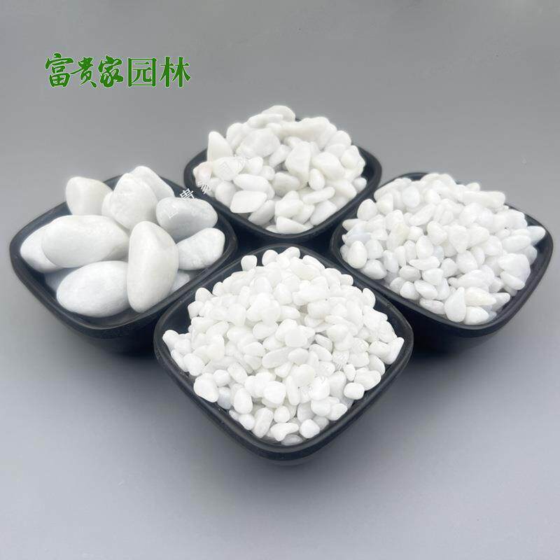 白卵鱼缸铺底石699花盆铺面用白色卵鹅石树坑枯山水庭院造景白石