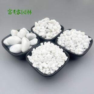 白卵鱼缸铺底石699花盆铺面用白色卵鹅石树坑枯山水庭院造景白石