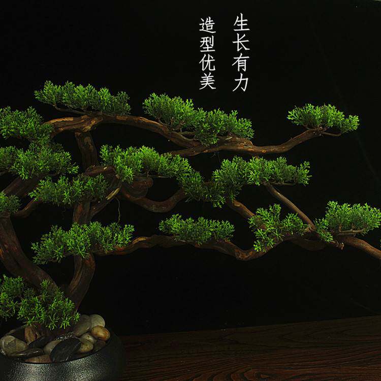 新中式仿真松树迎客松盆景小盆栽罗汉松植物大 禅意家居摆件玄关
