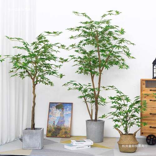 绿植假红枫树盆栽植造景饰枫叶装花客厅室内物摆大F965T757型假件