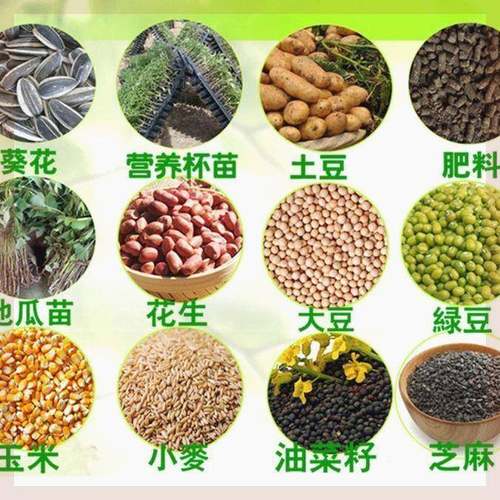 手提式玉米播种机播种播播种花生机栽苗玉BSZ米大豆器点播机器点