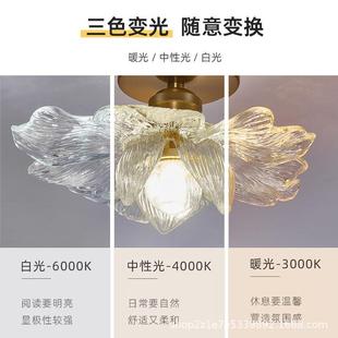 花廊瓣道灯走现代简约网帽红过阳台灯楼梯灯入户玄关82963衣间吸