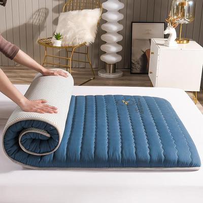 盛邦荣地租宿AM808097房床垫铺垫褥子大纤维厂家舍榻豆榻米子波纹