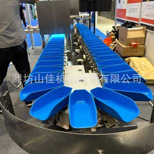 生蚝牡蛎海参料盒式重量分级机自动称重分拣机瓜果南瓜分选机厂家