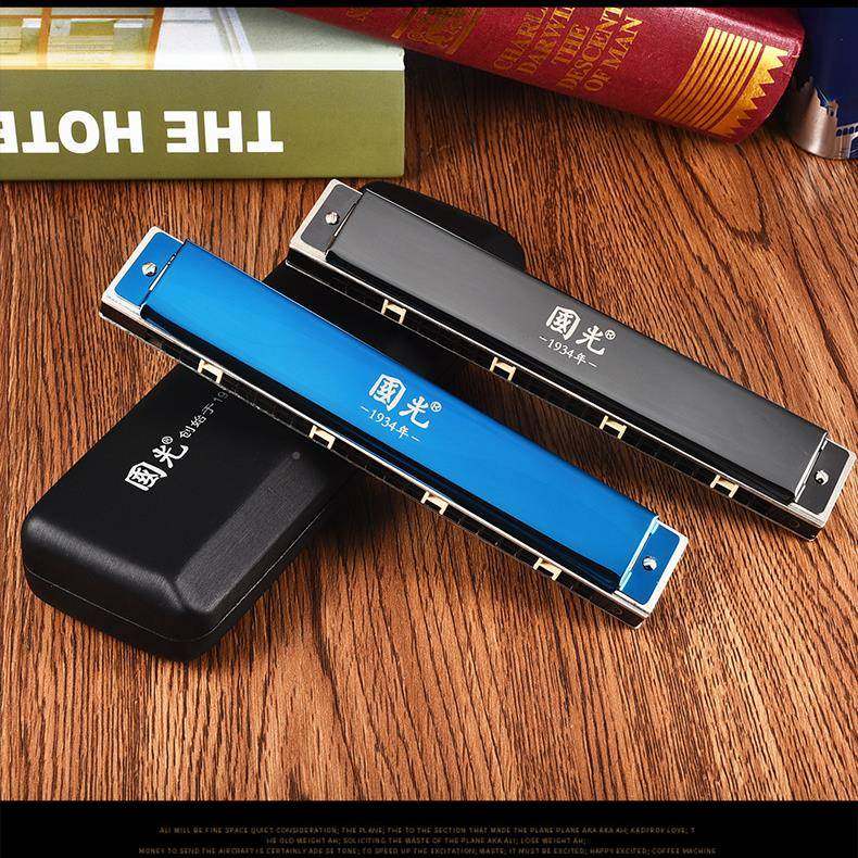 国光口琴24生孔音复音C调学儿童GMN成人入门24孔重专演业奏级国之