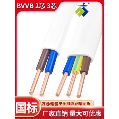 BVB硬护套线RVB软芯护套2/3*1/1.5/2芯.5/4/6平方V白695V色平行线