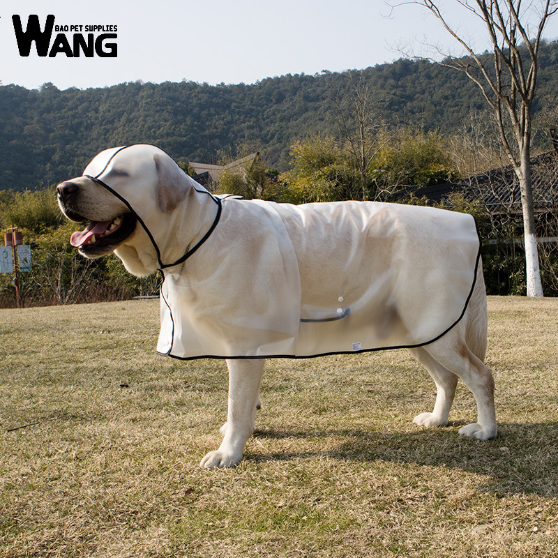 狗狗雨衣中大型犬边牧拉布拉多金毛透明雨披轻折痕全包四脚防水衣,宠物/宠物食品及用品,狗宠物服装/雨衣,淘宝优惠券,粉丝福利购,淘宝优惠卷