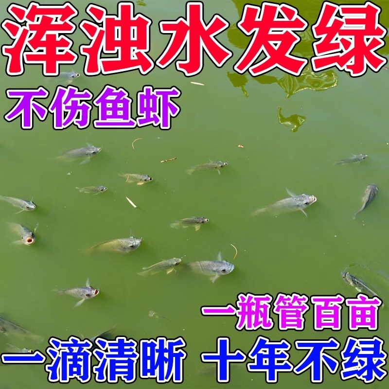 鱼塘净水剂池塘变清鱼塘消毒杀菌药鱼池水质净化鱼缸净水剂一滴清