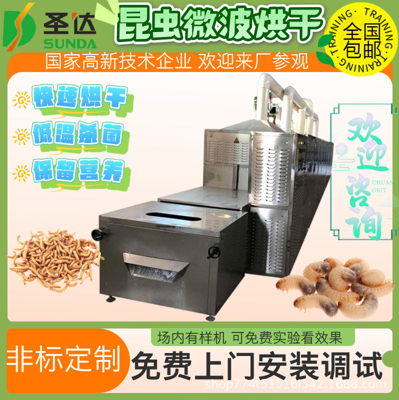 黑水虻微波烘干设备蛆虫干燥加工机隧道式黄粉虫膨化机口感酥脆