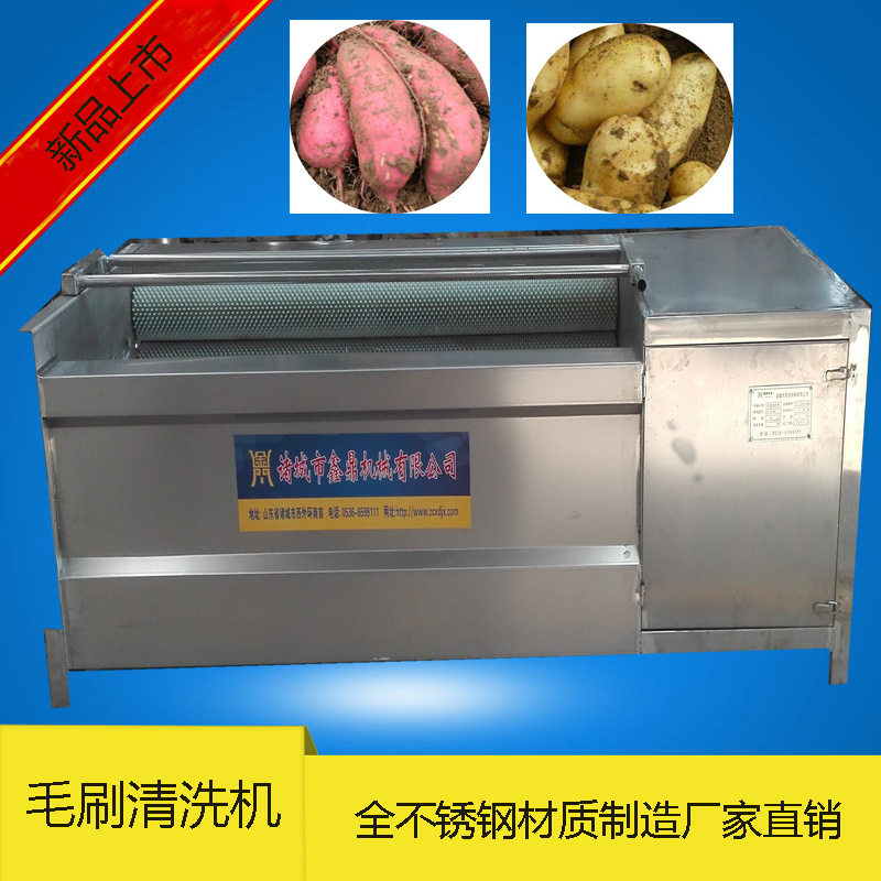 花生南瓜毛刷喷淋清洗机直销