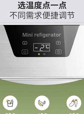 迷你小冰一人二箱家用办公室特小人型新车OCJ款载冰箱冷藏冷冻，