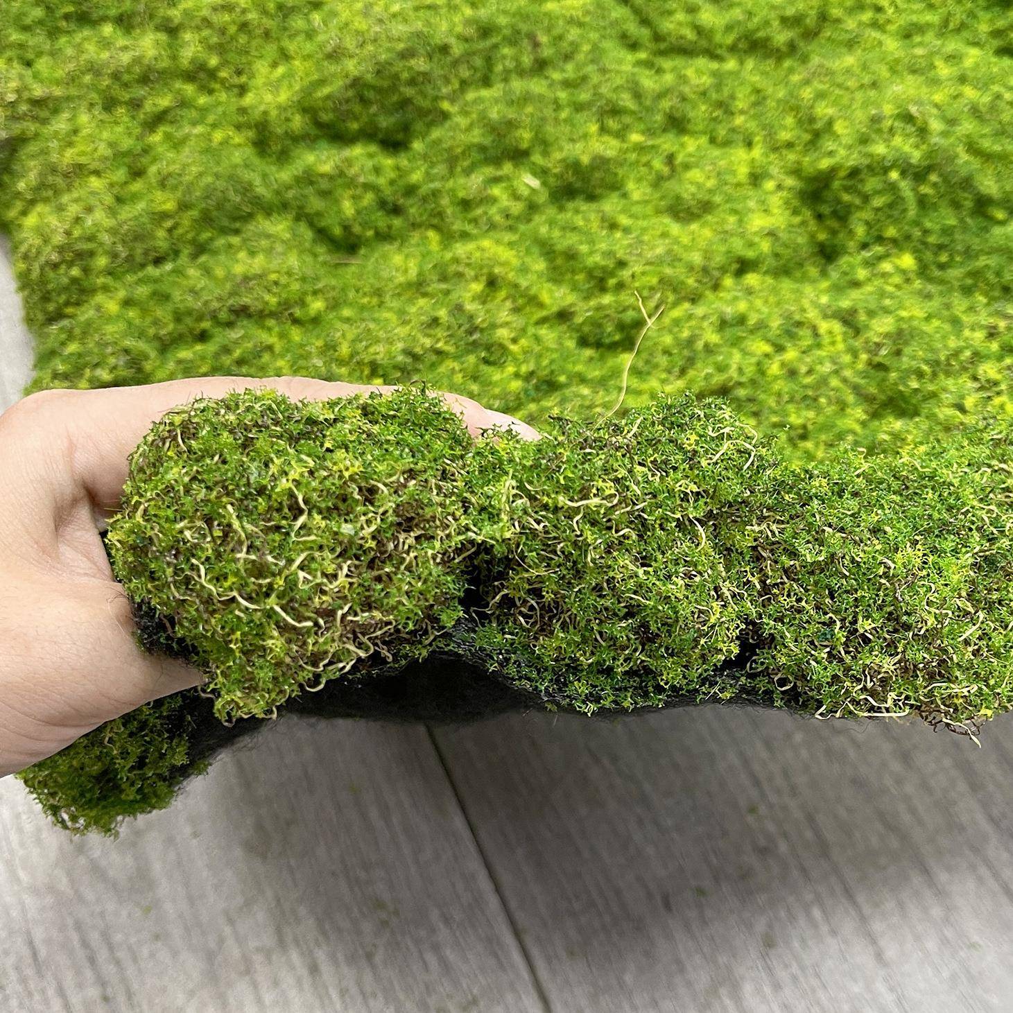 泓光98601仿真苔藓草绿皮人植材毛假青苔草坪植物墙配室内景观化