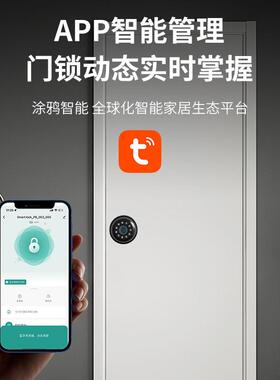 电子锁密码锁智门能33681用门锁室内家房间门球形木指纹办公室智