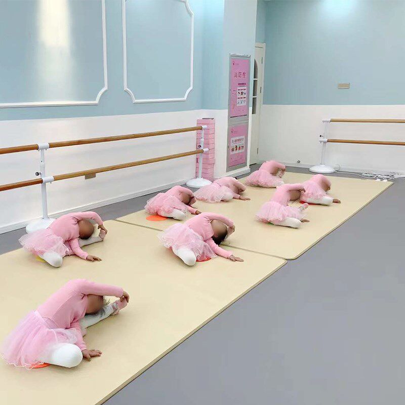 儿童舞蹈馆房石墨烯地暖垫幼儿园防滑地热垫取暖电加热碳晶地热垫