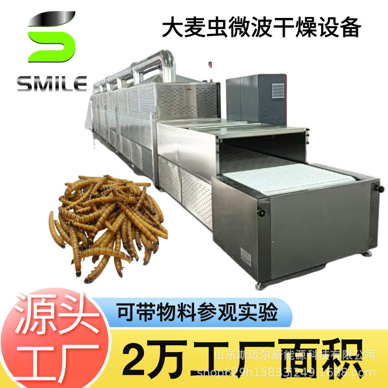 斯迈尔隧道式大麦虫微波烘干设备 昆虫微波烘干杀熟机杀菌脱水