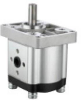 齿轮泵C60.58.001.0 C60.58.001.0 C60.58.001.0 C60.58.001.0 C6