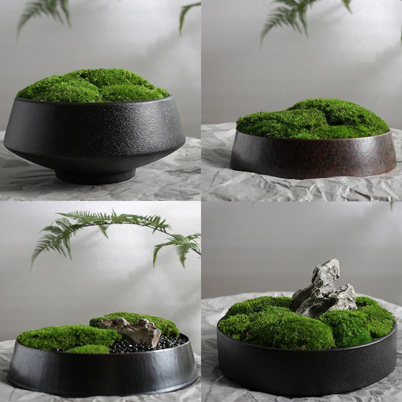 永生苔藓盆景盆栽仿真植物微景观中式桌面花艺客厅玄关前台摆件