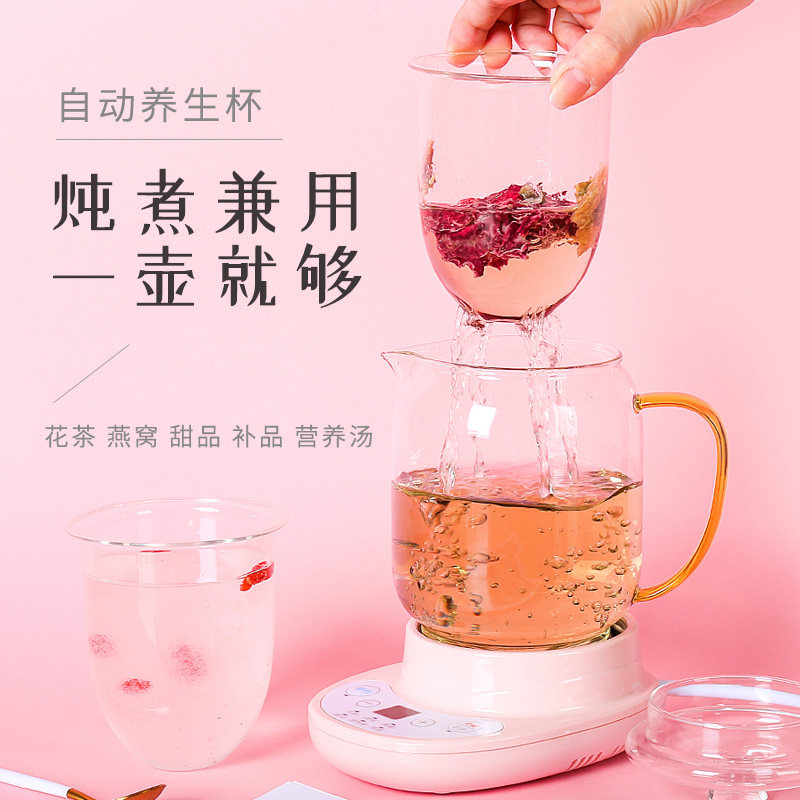 办公室玻璃养生壶小型家用迷你煮茶杯多功能煮花茶壶电热杯养生杯