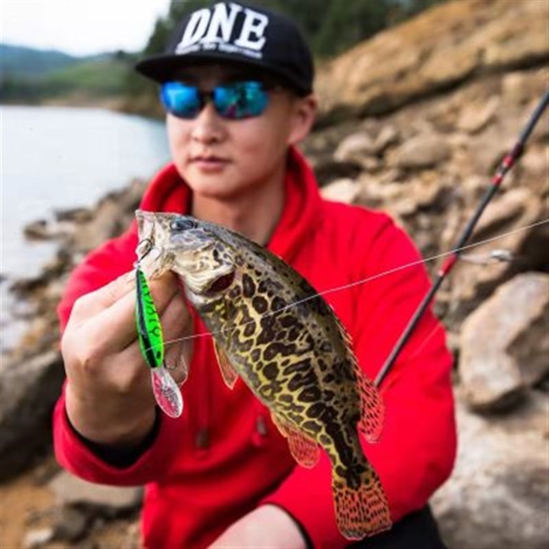 DNE去路亚清道夫深水悬停米诺路亚鱼饵翘嘴鲈鱼饵鳜鱼饵悬浮假饵