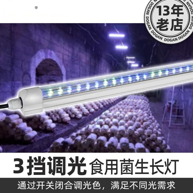 220V食用菌生长补光灯蘑菇房大棚用LED可调光色18W防水农用灯管