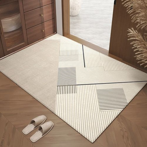 定制入户门地垫进门门垫2025新款免洗可擦大门口垫子防滑家用地毯