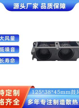 12545双涡轮式鼓风机 12545车载空气净化器鼓风机 SFB0212HH