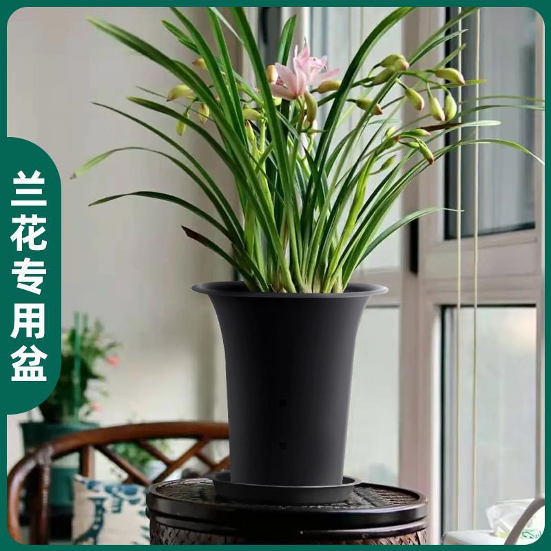兰花专用盆塑料黑白高育苗花盆园艺多肉兰草盆园控根吊挂式盆