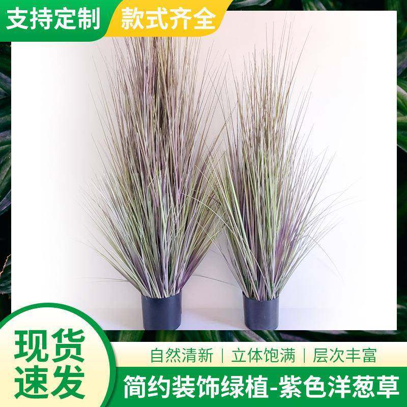 洋葱草装饰品干草仿真草绿植造景饰品绿植植物仿真洋葱草盆栽摆件,五金/工具,五金工具箱/五金收纳箱,淘宝优惠券,粉丝福利购,淘宝优惠卷