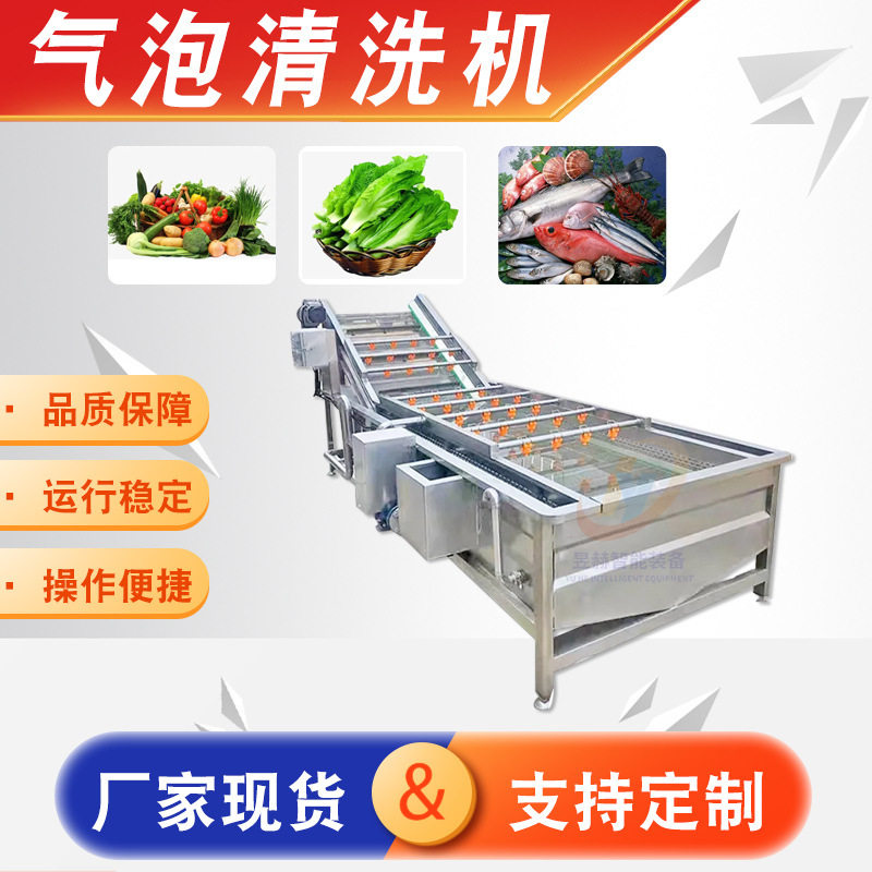 商用果蔬气泡清洗机 蔬菜辣椒喷淋式清洗机 全自动净菜加工流水线