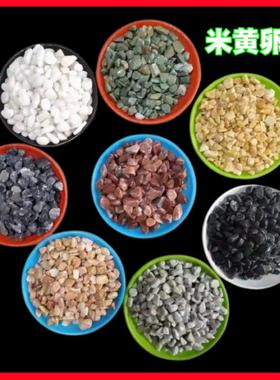 米石子黄色鹅卵透水地坪A33331露骨黄色胶黏石料石盆栽黄造景黄砾