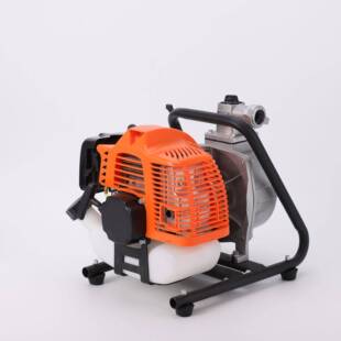 家用泵小水型高压汽自吸泵增压泵DGX抽油水机汽油机农用灌溉