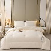 A类母婴级原棉被大豆纤THI被维被水洗棉春秋芯加款 被保暖厚冬子