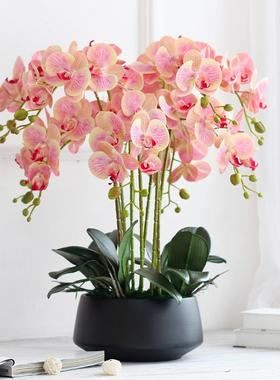 10枝款盆蝴蝶兰花套装酒大店公大堂F75999J6摆司设客厅摆放前台摆
