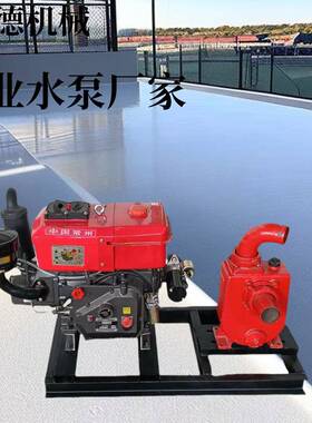 油柴机组1BLA自吸泵NS100/NS50/NS水200/NS300全自动上水抽机