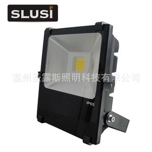 LD户外灯具LED工矿灯投光矿无品牌 洞灯具30EWF3003投光灯薄利多