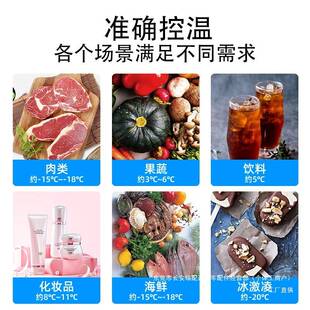 冰虎车载冰箱车家两用24V12V货车专用冷冻冷藏压缩机制冷40升瑞配