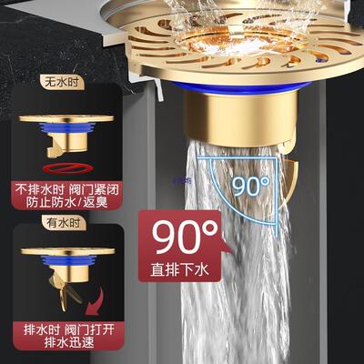 生地德国防臭22618漏卫间下水道返臭封口全铜通用内芯防反味防排