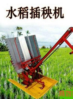 插耕秧机手摇机式水稻新式ERW两行插禾机型插秧机种植小机农用种