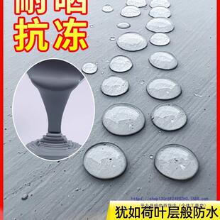 防外水涂料顶楼屋XSV漏水补漏材料顶墙墙面平房房顶防水胶